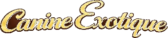 Canine Exotique